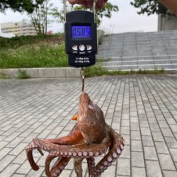 ラストオクトパッシング