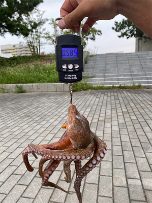 ラストオクトパッシング