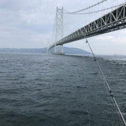 うりぼうとイカ様