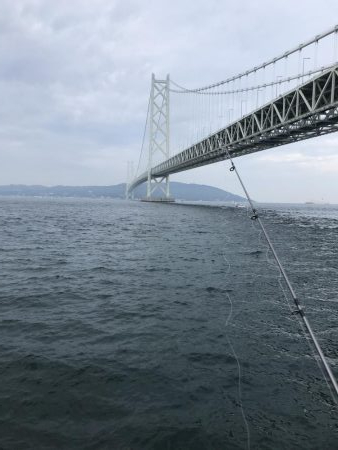 うりぼうとイカ様