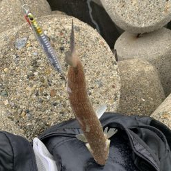 えーそ！エソ‼︎