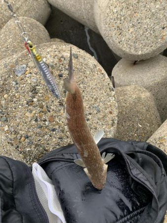 えーそ！エソ‼︎