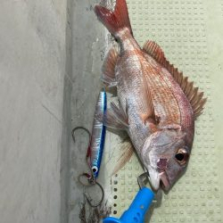 鳴門でチャリコ