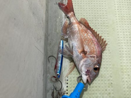 鳴門でチャリコ