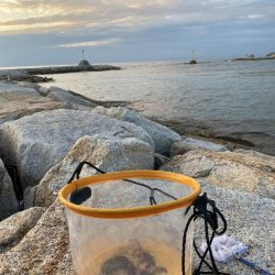 小さな岩の隙間を探っていくと…