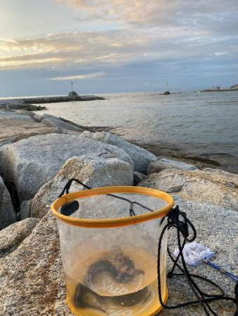 小さな岩の隙間を探っていくと…