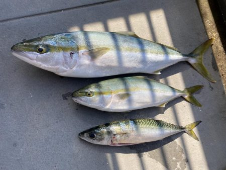 ジギングも終盤に