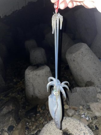 今日、風吹く予報?