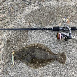 初めてのヒラメ