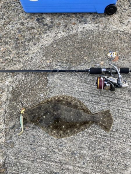 初めてのヒラメ