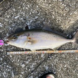 やっぱり熱い中泊!