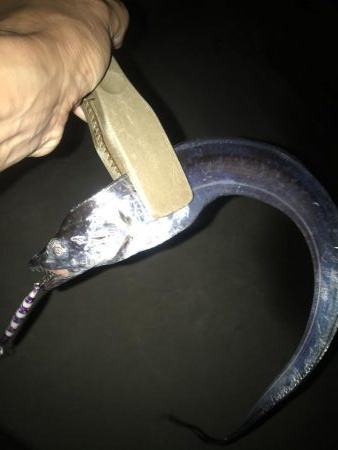 夕マズメの太刀魚釣り