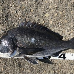 イチノ兄弟、釣果!