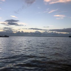 早起きは三文の得