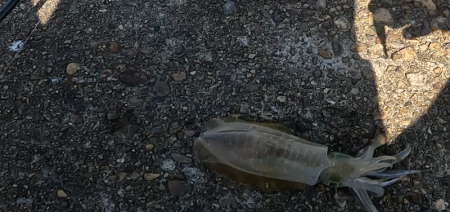 すくすく成長中！