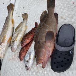 久しぶりの釣り