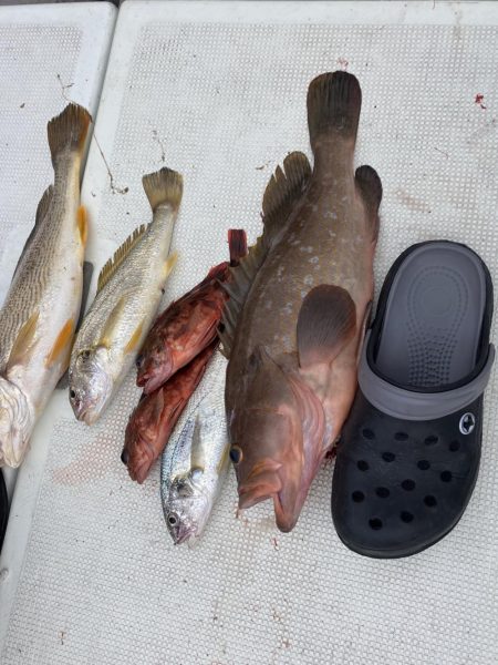 久しぶりの釣り