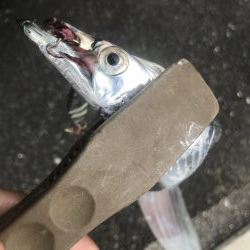 朝マズメの太刀魚釣り