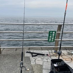 ショアジギング