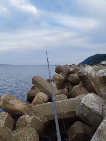 イカの気持ち２