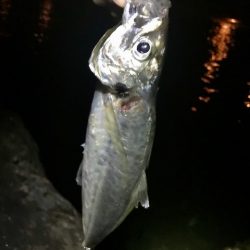 色々やってみました