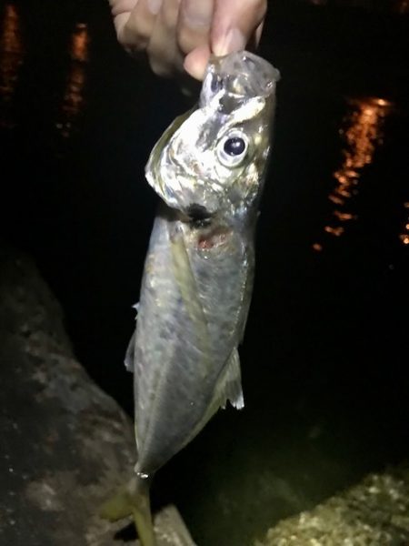 色々やってみました