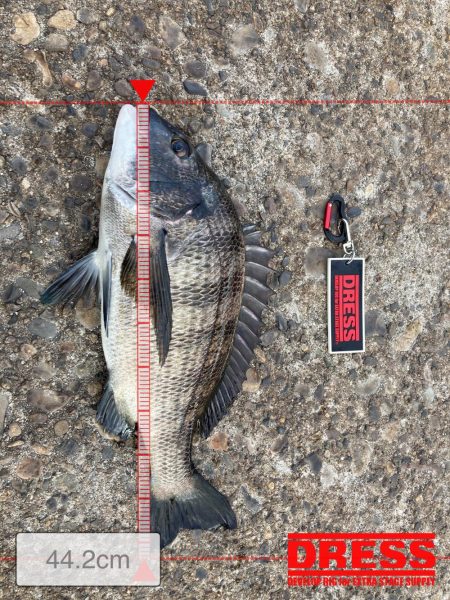 なんとかボウズ逃れ