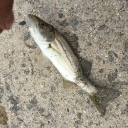 ファミリーフィッシング1