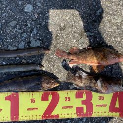 旧波止場で穴釣り！