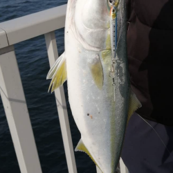 諦めムードの中で！