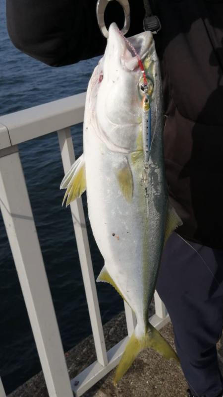 諦めムードの中で！