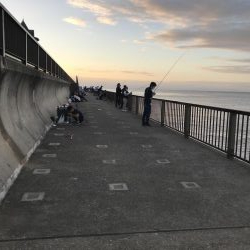 チャリコの季節。マナーが悪い時期