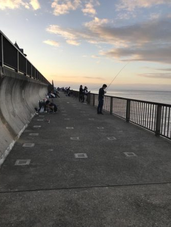 チャリコの季節。マナーが悪い時期