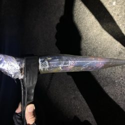 今年初タチウオGET!!