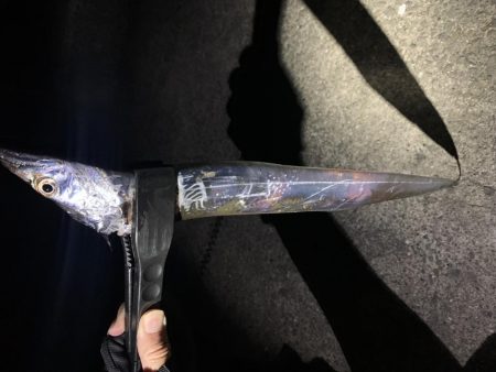 今年初タチウオGET!!