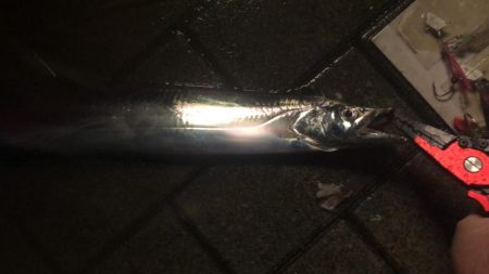 とても渋いシーサイド