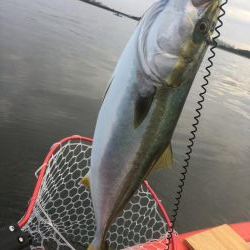 カヤックで初の獲物