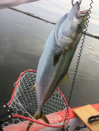 カヤックで初の獲物