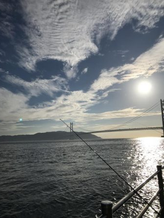 うりぼうだらけ