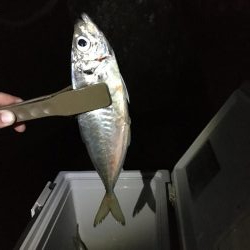 型はいいが、、、