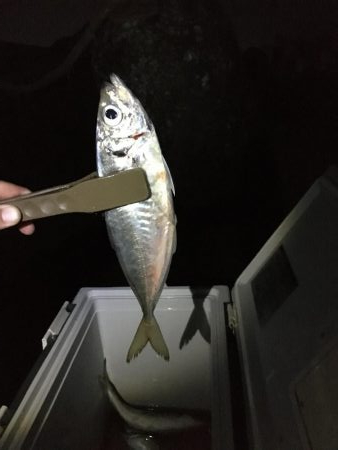 型はいいが、、、