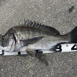 イチノ兄弟、釣果!