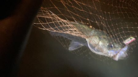 雨の中堤防からやったり、ウェーディングもや…