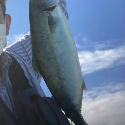 体力なくて情けない