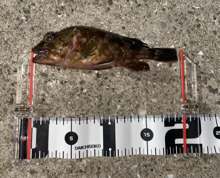 ボウズはのがれました