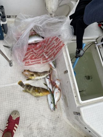 真夏のマイボート