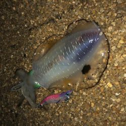 長時間耐久の結果は？