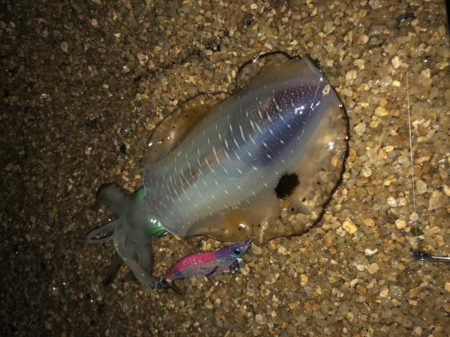 長時間耐久の結果は？