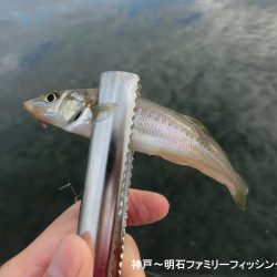 キス狙いが以外にも