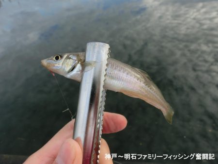 キス狙いが以外にも